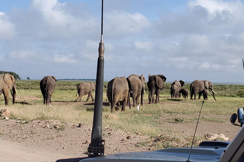 جولة رحلة ليوم واحد في أمبوسيلي - إطلالة على كليمنجارو