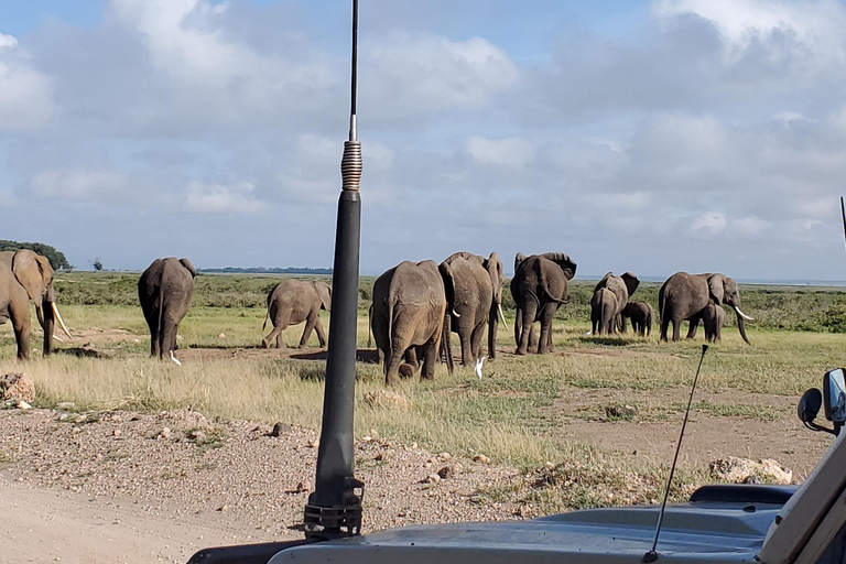 جولة رحلة ليوم واحد في أمبوسيلي - إطلالة على كليمنجارو