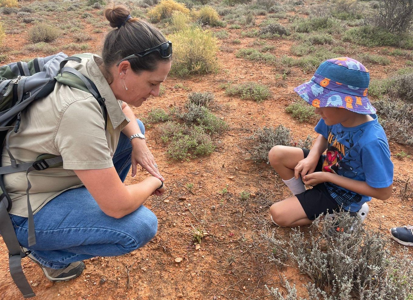 Oudtshoorn - Naturvandring med picnic i Klein Karoo