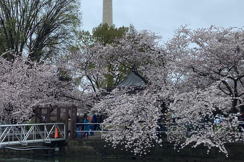 Washington DC : Location de pédalos à Tidal Basin