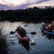 Anglesea: Night Kayaking Tour Under the Stars Anglesea: Night Kayaking Tour Under the Stars