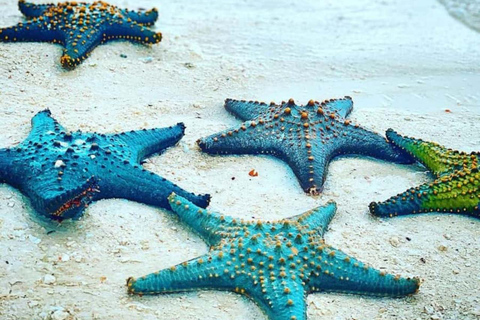 ZANZIBAR: Las Jozani, jaskinia Salaam, The Rock i Blue LagoonWYCIECZKA PRYWATNA BEZ ODBIORU Z HOTELU I TRANSPORTU POWROTNEGO