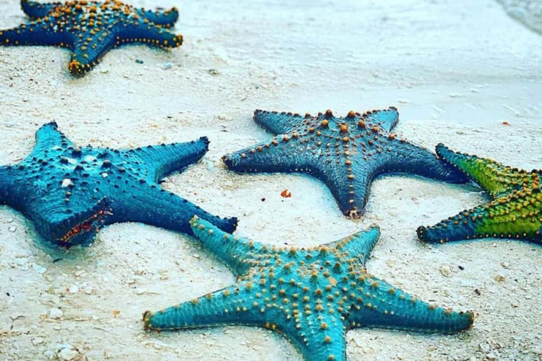 ZANZIBAR: Las Jozani, jaskinia Salaam, The Rock i Blue LagoonWYCIECZKA PRYWATNA BEZ ODBIORU Z HOTELU I TRANSPORTU POWROTNEGO