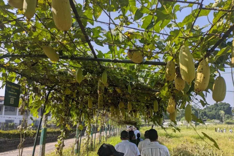 Kandy Top City Sights & Agro Tech Park Visit 4-Hours Tour Kandy Top City Sights visit -01