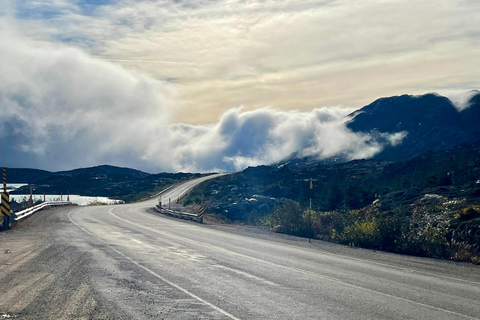 Skagway: Yukon Suspension Bridge & White Pass Scenic Tour
