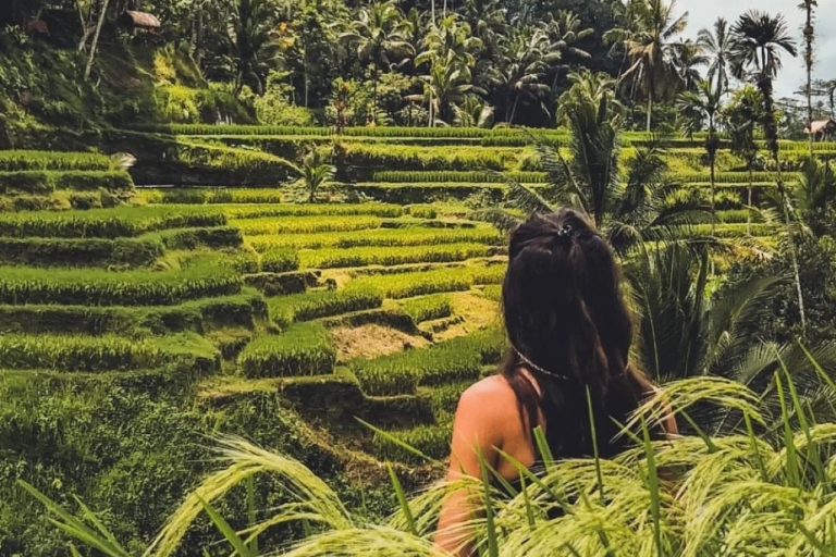 Bali: Ubud Monkey Forest, Rice Terraces, Temple, Waterfall Option : Tour Exclude Entrance Tickets