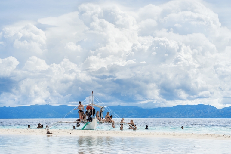 Cebu : Course de sardines et plongée en apnée avec les tortues - Moalboal