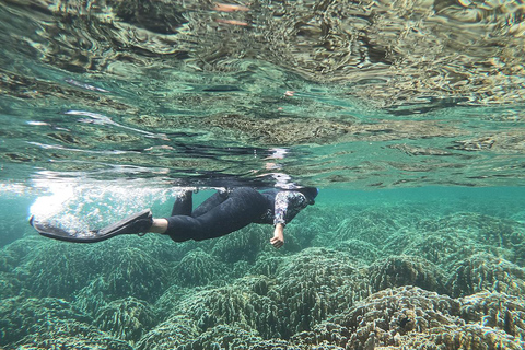 Esperienza di snorkeling di un giorno intero a Koh Lipe in 7 punti con pranzo