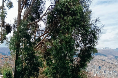 La Paz Highlights: 2 Viewpoints + Moon Valley + Cable Cars