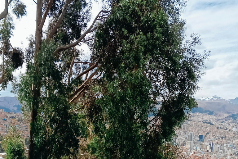 La Paz Highlights: 2 Viewpoints + Moon Valley + Cable Cars
