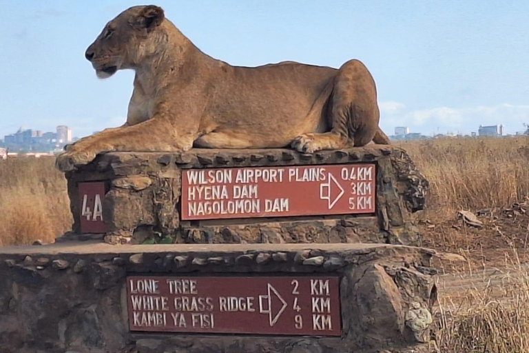 Nairobi National Park Half-Day Game Drive With Free Pick Up