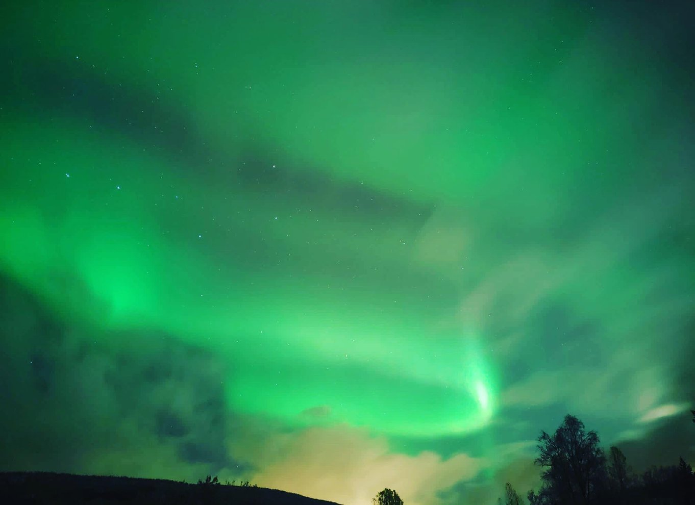 Harstad/Narvik/Tjeldsund: Nordlys-sightseeing i bil