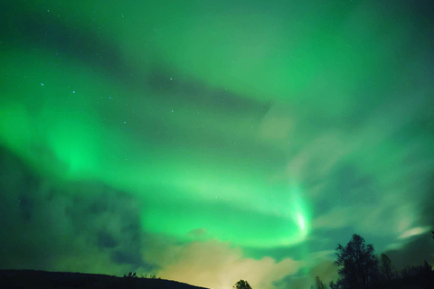 Harstad/Narvik/Tjeldsund: noorderlicht bezichtigen met de auto