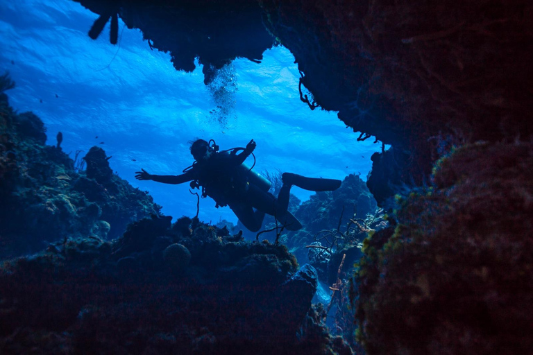 Cancun: Mergulhando em um navio afundado (Certified Divers)