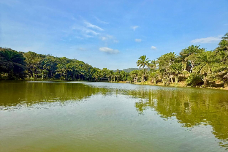 3 Tage und 2 Nächte Magoroto-Wald-Tagestour von Sansibar aus mit dem Flugzeug