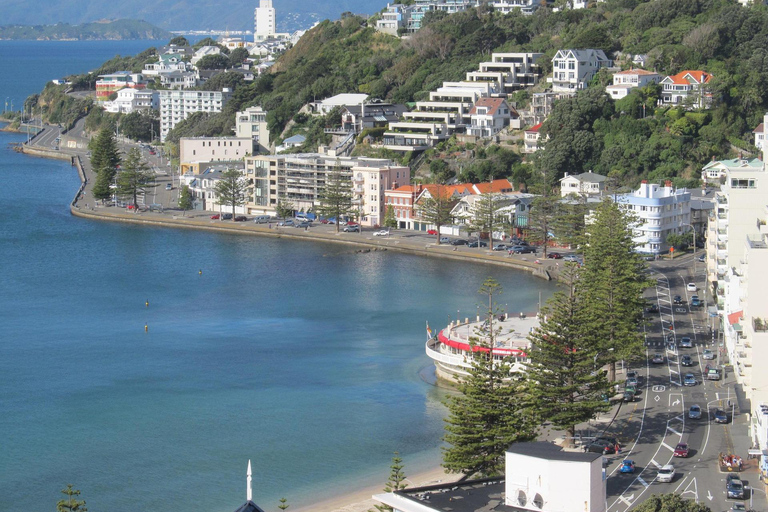 Private Airport Transfer from/to Brisbane Airport（BNE） Private Airport Transfer to Brisbane Airport（BNE）