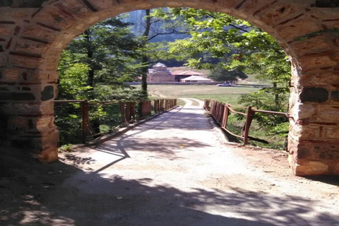 Bulgaria and Serbia Full Day Tour from Sofia