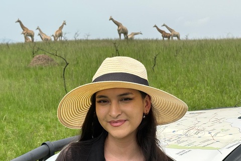 Afternoon Safari from Durban