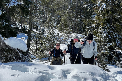 Schneeschuhwandern an der Spitze der Sea to Sky Gondel