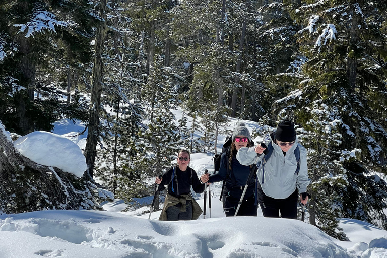 Schneeschuhwandern an der Spitze der Sea to Sky Gondel