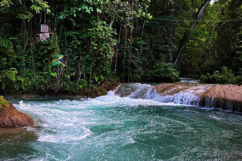 Montego Bay : Visite privée des chutes de la rivière Dunn et du trou bleu