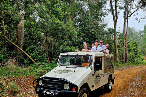Excursion en jeep dans l&#039;ouest de Madère – Fanal, Seixal, piscines naturelles et petits groupes