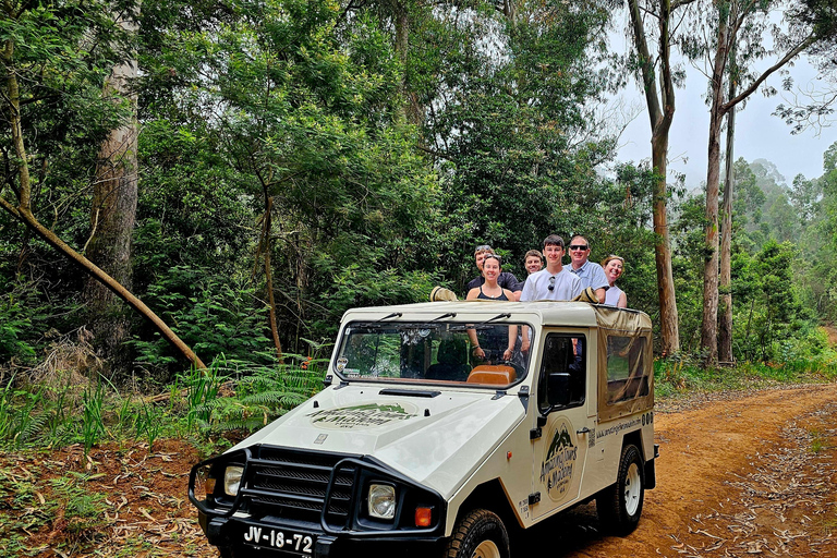 Excursion en jeep dans l&#039;ouest de Madère – Fanal, Seixal, piscines naturelles et petits groupes