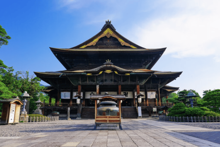 Desde Tokio: Excursión privada de un día al Mono de las Nieves y Zenkoji