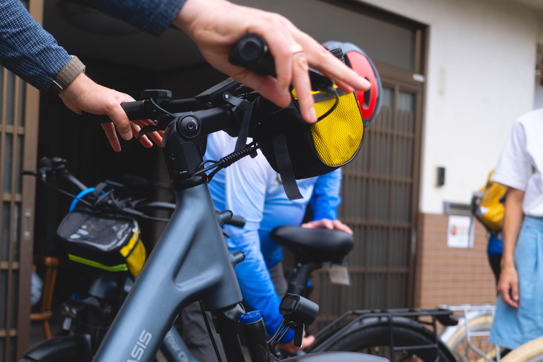 Best of Kyoto: the Bamboo Forest & Golden Temple E-Bike Tour