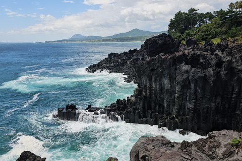 Ilha de Jeju: excursão de 1 dia para o sul e oeste