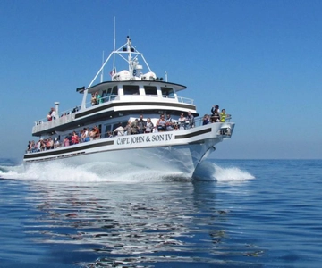 Plymouth: Whale Watching Cruise
