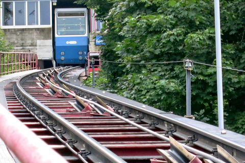 Aventura en transporte por Zúrich: Rueda dentada, Funicular y tour en barcoExcluyendo las subidas más largas