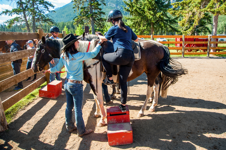 Banff National Park: 1-Hour Bow River Horseback Ride