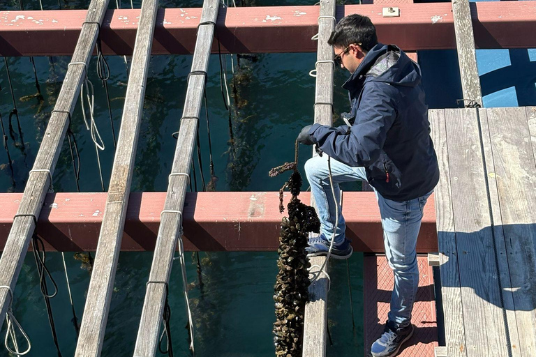 Gita in catamarano e visita ai vivai di Clóchina con degustazione