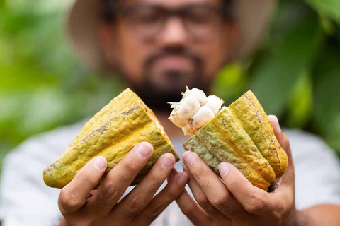 Guanacaste: Sloth Sanctuary and Waterfall Adventure