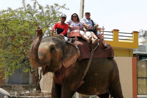 Jaipur: Private Full Day Sightseeing Tour By Car with Guide Jaipur: Private Sightseeing Day Tour w/ Private Car & Guide