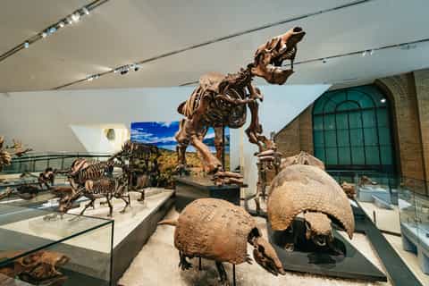 Toronto: Royal Ontario Museum General Admission Voucher