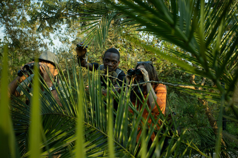 Observation des oiseaux dans l&#039;éco-parc de Kigali