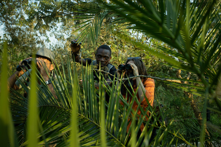 Fågelskådning i Kigali Eco Park