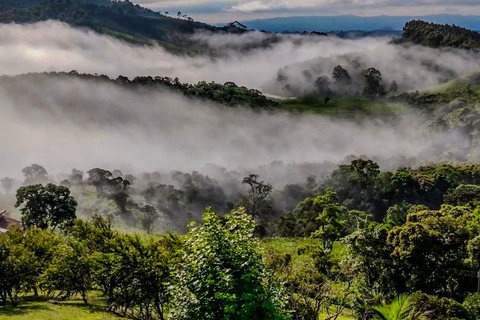 Paraty: Golden Route Guided Hike with Historical Stories Paraty: Golden Route Guided Hike with Historical Stories