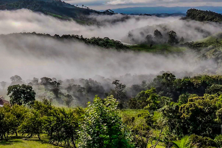 Paraty: Golden Route Guided Hike with Historical Stories Paraty: Golden Route Guided Hike with Historical Stories