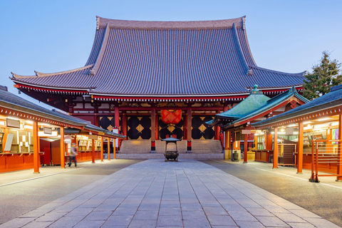 Tokyo : visite d&#039;une demi-journée le matin en petit groupe