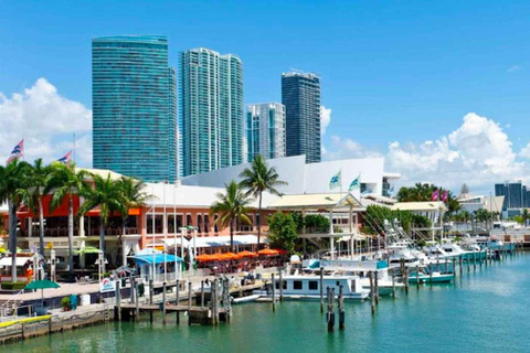 Miami Combo: Everglades Adventure and Sightseeing Tour Combo - Downtown Miami pickup