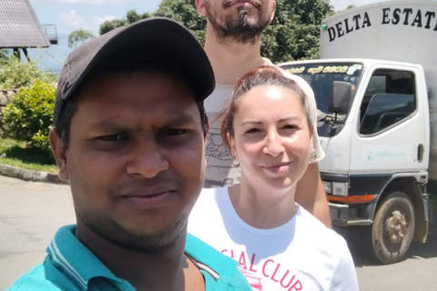 Kandy: Tuk-Tuk Sights, Culture, Shopping & Treatment