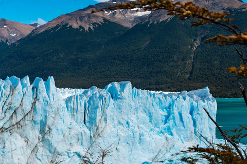 Full Day All Glaciers Tour in Calafate