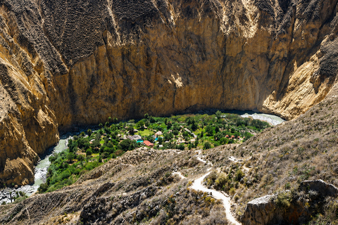 Arequipa: 2 Days Colca Canyon Trekking