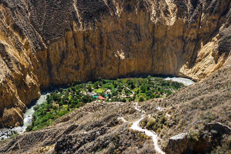 Arequipa: 2 Days Colca Canyon Trekking