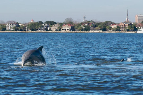 Charleston: Daytime or Sunset Historic Harbor Cruise Daytime or Sunset Harbor Cruise