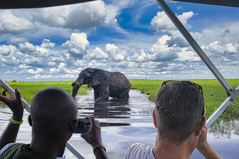 Chobe Express River Safari + Pickup