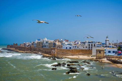 From Marrakech: Essaouira Day Trip with Free Time to Explore From Marrakech: Private Day Trip to Essaouira